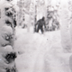 This image, taken from one of the cameras left behind by the hikers, helped spawn the “Russian Yeti” theory, though as An Unknown Compelling Force shows, it’s just one in a series of photos—others of which clearly show that it’s one of the hikers goofing around.